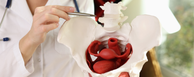 Physical and Pelvic Examination